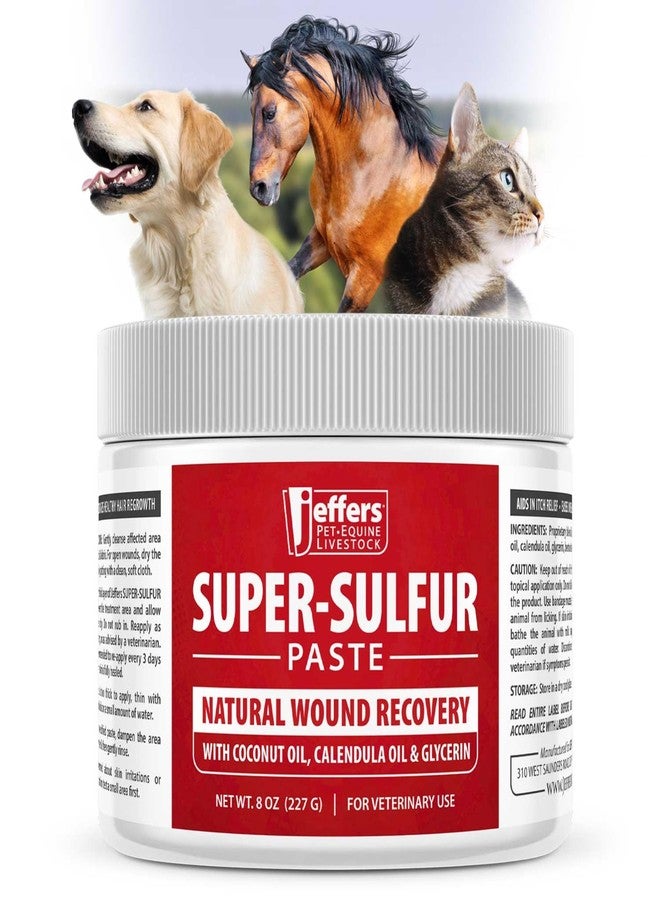 Jeffers Super Sulfur Healing Paste - Natural Skin & Wound Care for Horses, Dogs, Cats & Livestock - Soothing Sulfur Based Formula with Calendula, Bentonite Clay & Coconut Oil - 8 oz - Image 1